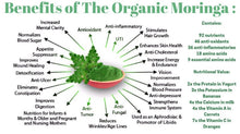 Load image into Gallery viewer, 16 oz Organic Moringa with Spirulina Sea Moss Gel
