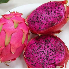 Load image into Gallery viewer, 16 oz Dragonfruit Sea Moss Gel
