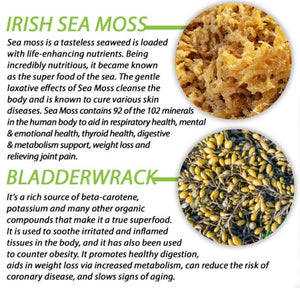 16 oz Bladderwrack and Sea Moss gel